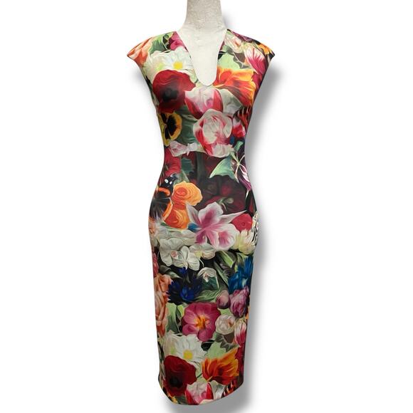 Ted Baker Odeela Floral Swirl-Print Sheath Dress Size 0 Bodycon Sleeveless - Picture 11 of 11